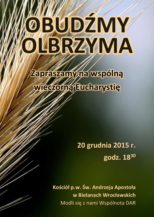 20.12.2015 BUDZIMY OLBRZYMA